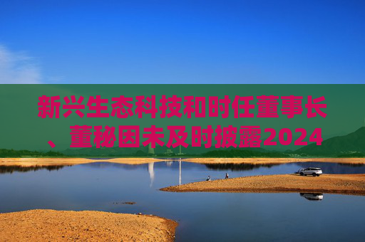 新兴生态科技和时任董事长、董秘因未及时披露2024年报遭警示函