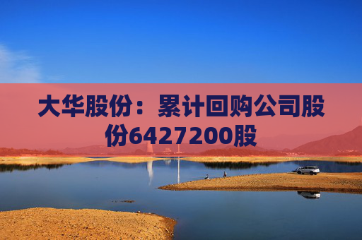 大华股份：累计回购公司股份6427200股