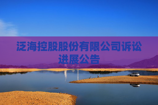 泛海控股股份有限公司诉讼进展公告
