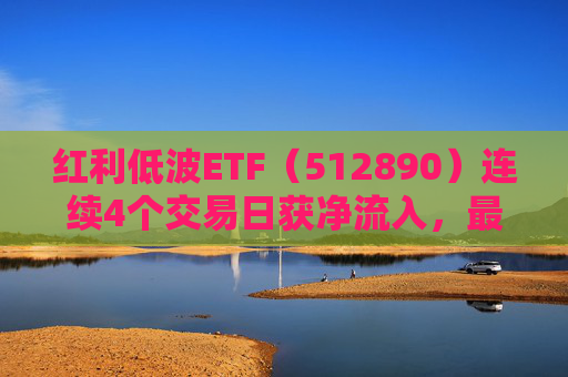 红利低波ETF（512890）连续4个交易日获净流入，最新规模突破170亿元