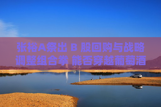 张裕A祭出 B 股回购与战略调整组合拳 能否穿越葡萄酒行业寒冬