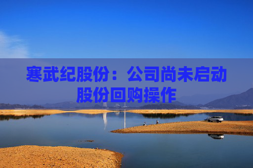 寒武纪股份：公司尚未启动股份回购操作