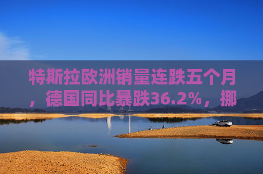 特斯拉欧洲销量连跌五个月，德国同比暴跌36.2%，挪威市场成亮点