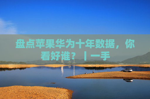 盘点苹果华为十年数据，你看好谁？丨一手