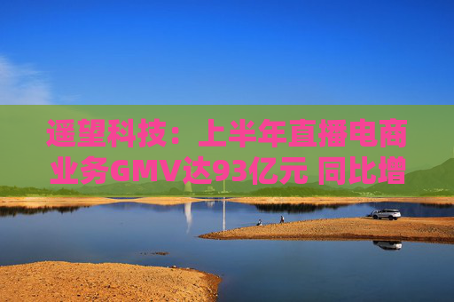遥望科技：上半年直播电商业务GMV达93亿元 同比增长50%