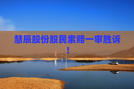 慧辰股份股民索赔一审胜诉！