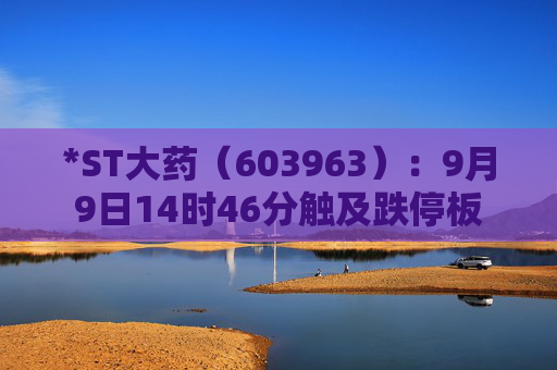 *ST大药（603963）：9月9日14时46分触及跌停板