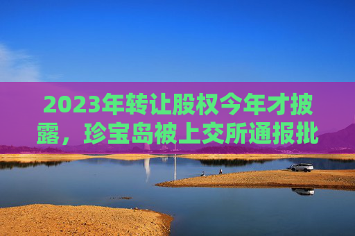 2023年转让股权今年才披露，珍宝岛被上交所通报批评  公司刚称“对信披违规责任人降薪罚款”