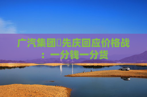 广汽集团閤先庆回应价格战：一分钱一分货