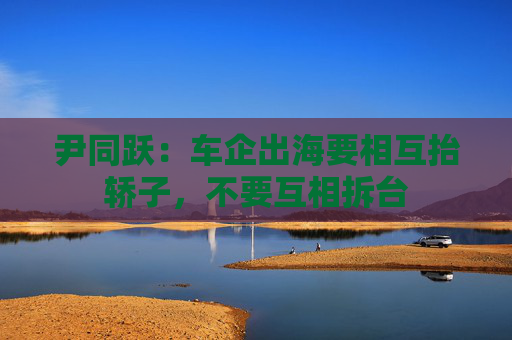 尹同跃：车企出海要相互抬轿子，不要互相拆台