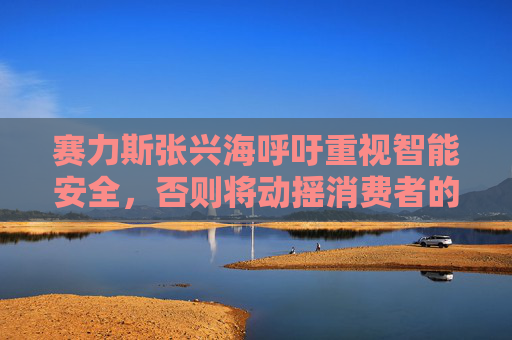 赛力斯张兴海呼吁重视智能安全，否则将动摇消费者的信心