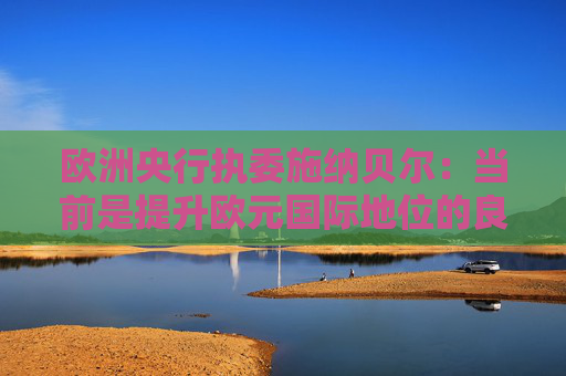 欧洲央行执委施纳贝尔：当前是提升欧元国际地位的良机