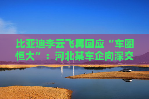 比亚迪李云飞再回应“车圈恒大”：河北某车企向深交所、港交所及监管机构恶意举报比亚迪