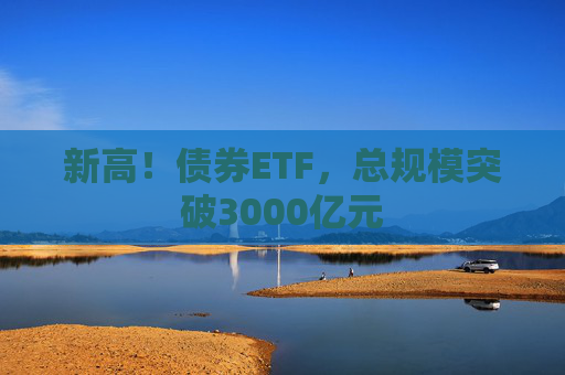 新高！债券ETF，总规模突破3000亿元