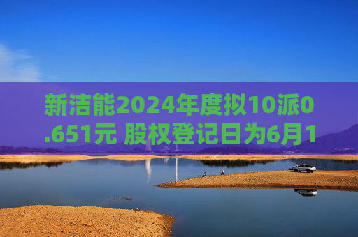 新洁能2024年度拟10派0.651元 股权登记日为6月12日