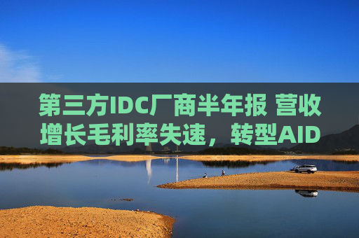 第三方IDC厂商半年报 营收增长毛利率失速，转型AIDC跑马圈地