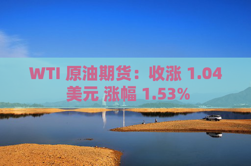 WTI 原油期货：收涨 1.04 美元 涨幅 1.53%