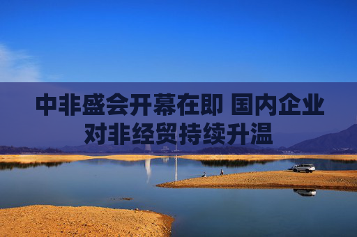 中非盛会开幕在即 国内企业对非经贸持续升温