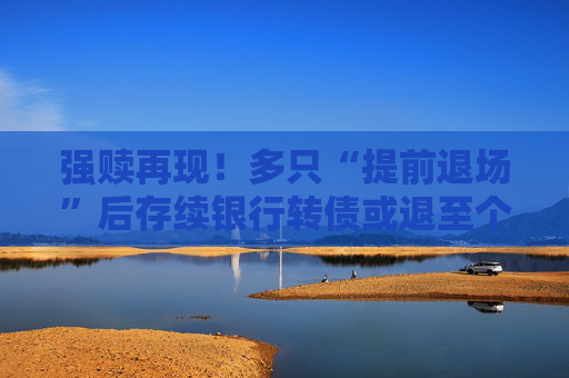强赎再现！多只“提前退场”后存续银行转债或退至个位数，新增发行仍面临多重约束