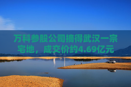 万科参股公司摘得武汉一宗宅地，成交价约4.69亿元