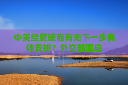 中美经贸磋商有无下一步具体安排？外交部回应