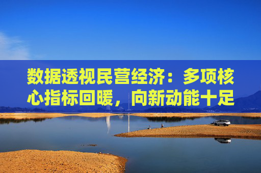 数据透视民营经济：多项核心指标回暖，向新动能十足