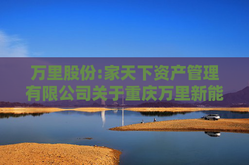 万里股份:家天下资产管理有限公司关于重庆万里新能源股份有限公司股票交易异常波动的回函