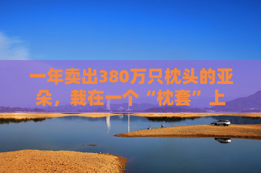 一年卖出380万只枕头的亚朵，栽在一个“枕套”上