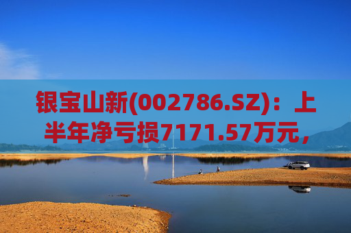 银宝山新(002786.SZ)：上半年净亏损7171.57万元，同比下降15.56%