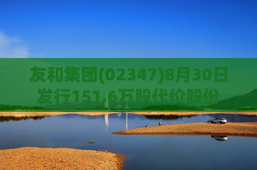 友和集团(02347)8月30日发行151.6万股代价股份
