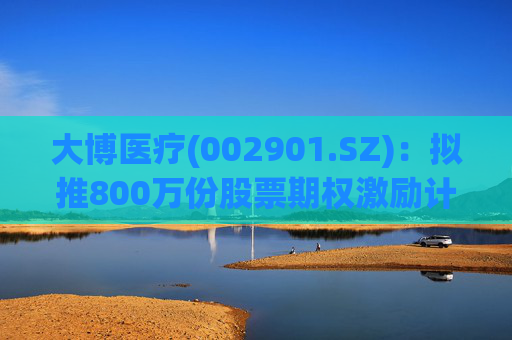 大博医疗(002901.SZ)：拟推800万份股票期权激励计划