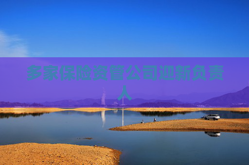 多家保险资管公司迎新负责人