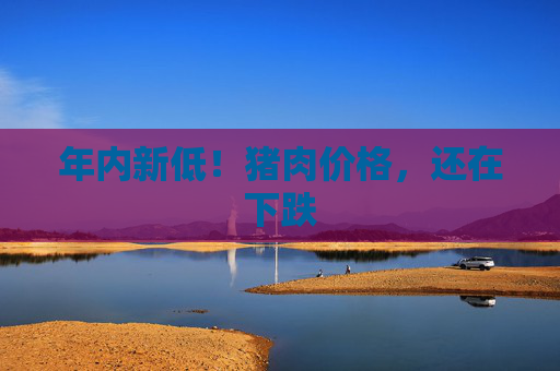 年内新低！猪肉价格，还在下跌