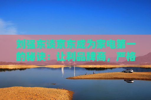 刘强东谈京东成为家电第一的秘诀：让利品牌商，严格遵循三毛五理论