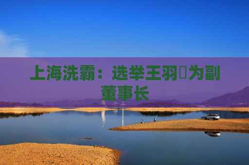 上海洗霸：选举王羽旸为副董事长