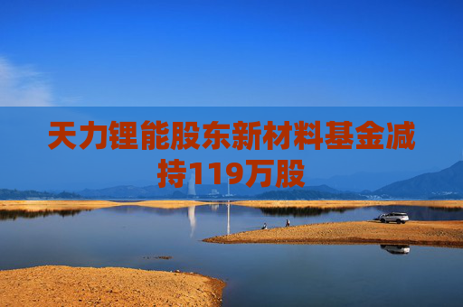 天力锂能股东新材料基金减持119万股