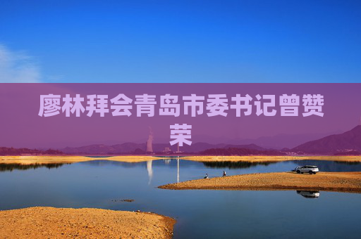 廖林拜会青岛市委书记曾赞荣