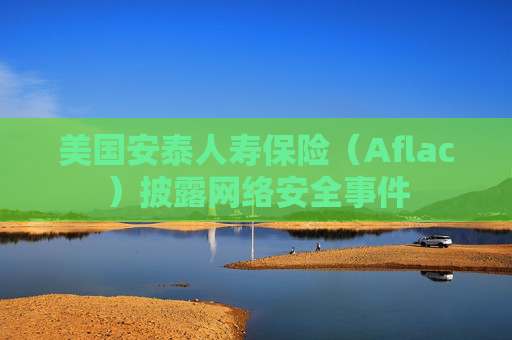 美国安泰人寿保险（Aflac）披露网络安全事件