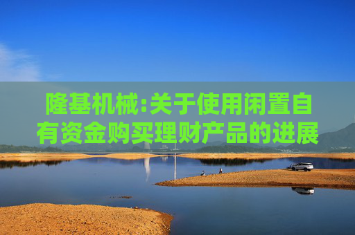 隆基机械:关于使用闲置自有资金购买理财产品的进展公告