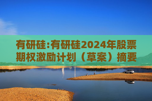 有研硅:有研硅2024年股票期权激励计划（草案）摘要公告