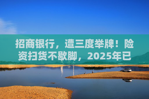 招商银行，遭三度举牌！险资扫货不歇脚，2025年已有13家上市公司被险资举牌