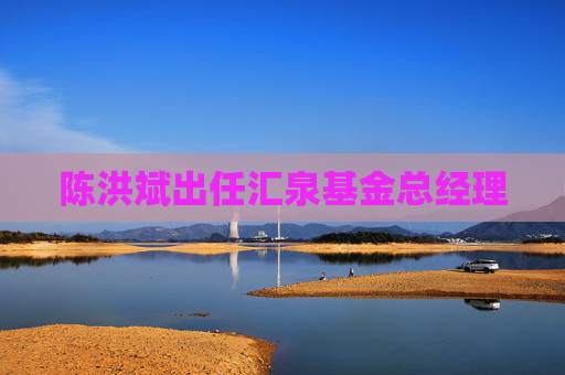 陈洪斌出任汇泉基金总经理