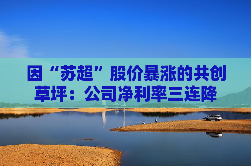 因“苏超”股价暴涨的共创草坪：公司净利率三连降