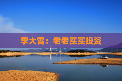 李大霄：老老实实投资