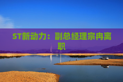 ST新动力：副总经理宗冉离职