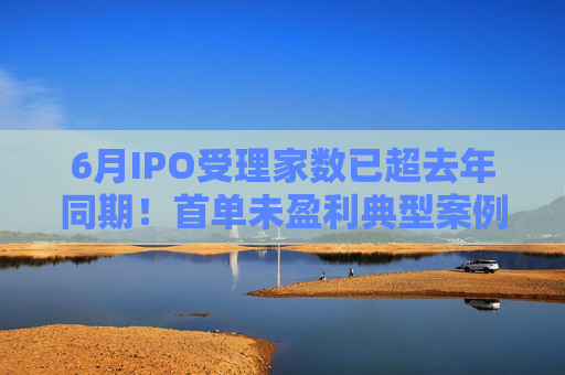 6月IPO受理家数已超去年同期！首单未盈利典型案例或本月出炉