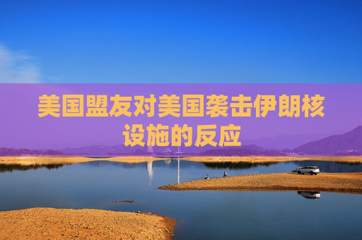 美国盟友对美国袭击伊朗核设施的反应