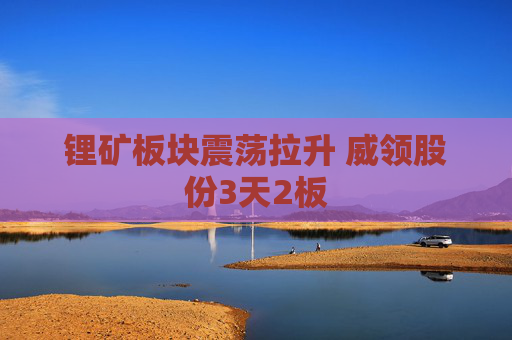 锂矿板块震荡拉升 威领股份3天2板