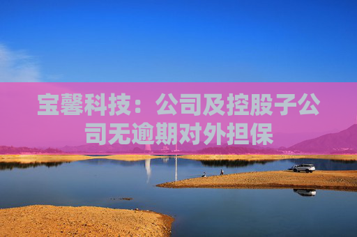 宝馨科技：公司及控股子公司无逾期对外担保