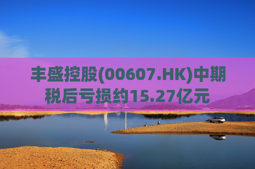 丰盛控股(00607.HK)中期税后亏损约15.27亿元